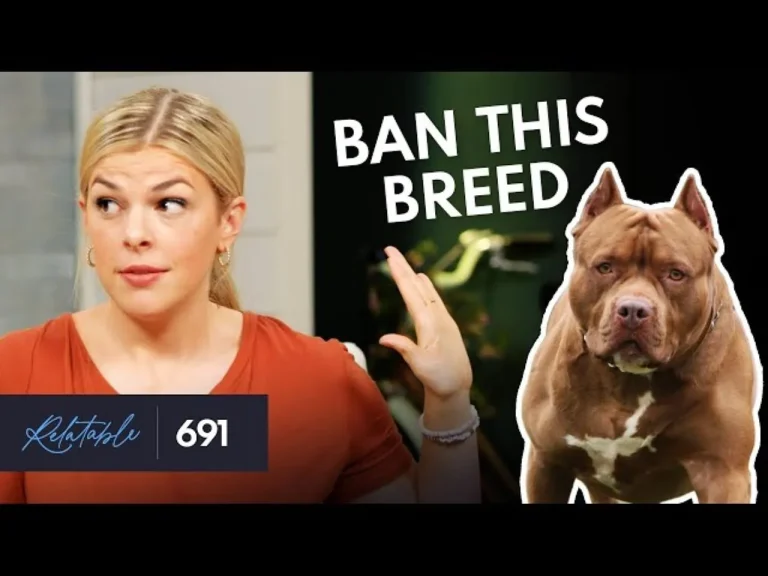 Christian Single Moms Take A Stand Against Pit Bulls