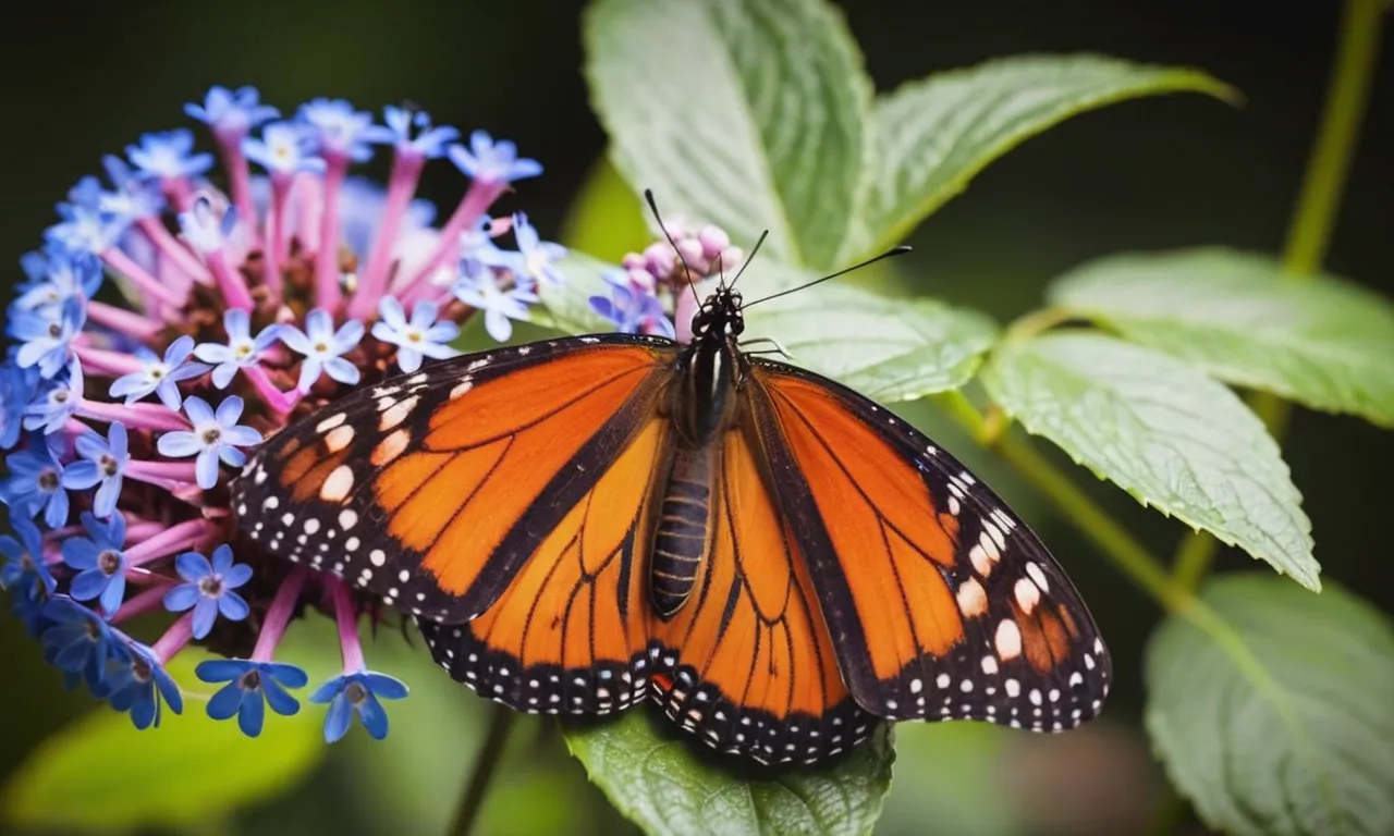 A photo of a vibrant butterfly gracefully emerging from its cocoon, symbolizing the transformative journey of self-discovery and embracing one's true nature.