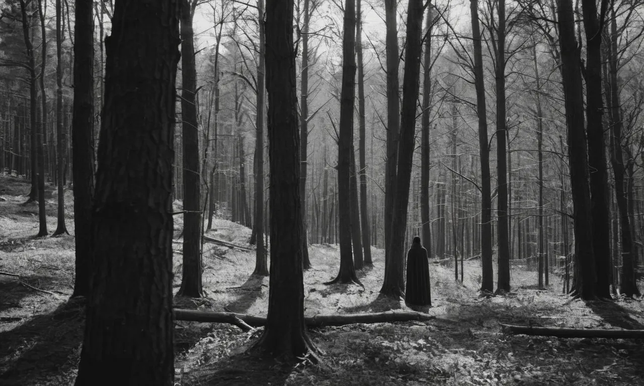 In a captivating black and white shot, a mysterious figure stands at the edge of a forgotten forest, their face concealed, leaving viewers to wonder about the secrets that "god knows what" lies within.