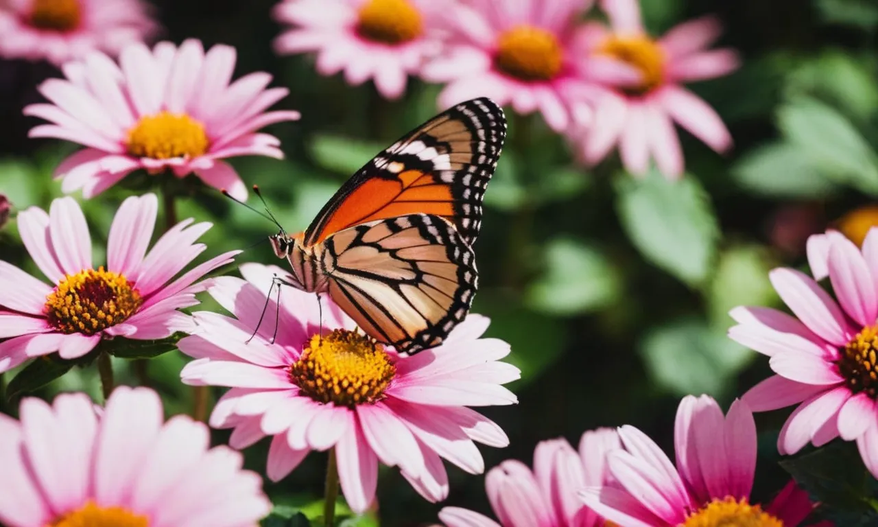 A photo capturing a fragile butterfly delicately resting on a vibrant flower petal, symbolizing God's gentle touch in preserving our lives amidst the chaos of the world.