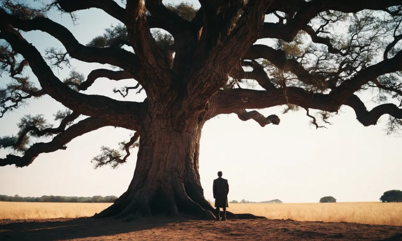 The photo captures an ancient tree with a silhouette of a man standing beside it, symbolizing the mythical figure of Adam from the Bible and his potential towering height.