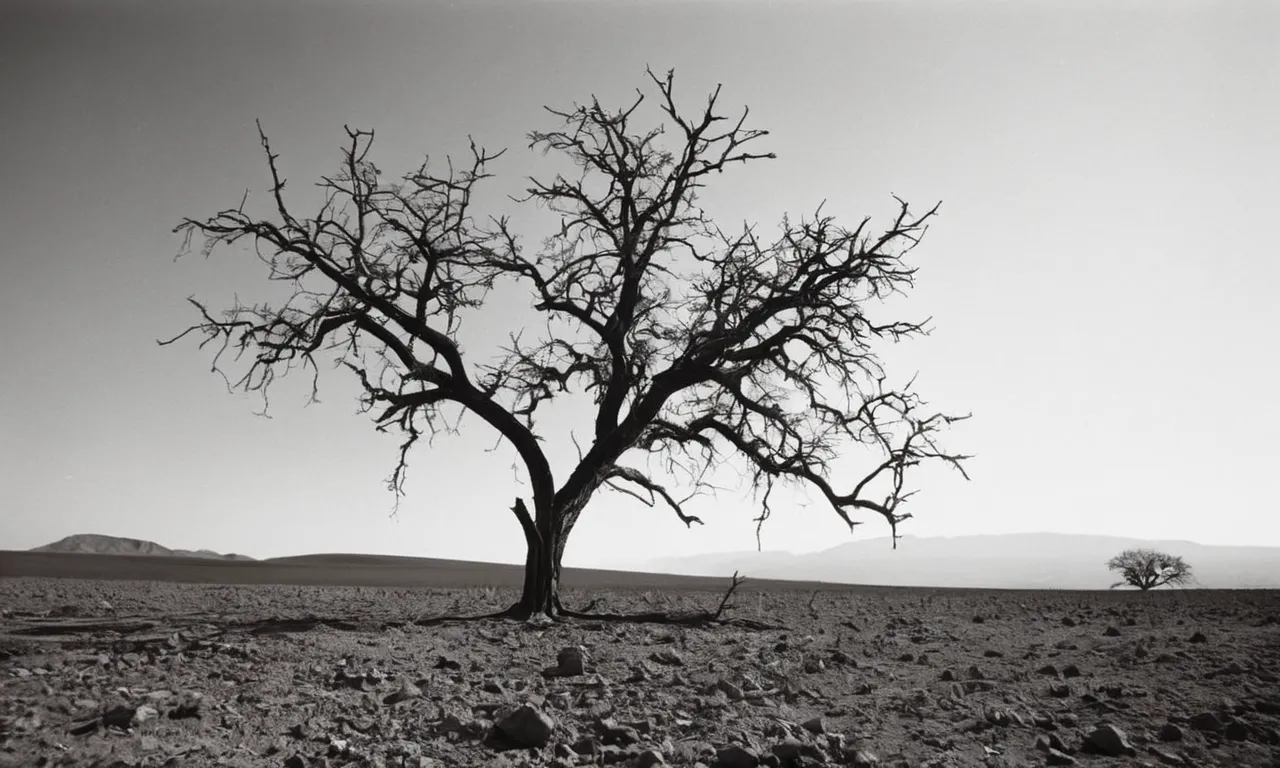 A breathtaking black and white image of a withered tree, surrounded by barren land, with a single vibrant blossom emerging from its branches, symbolizing the God who restores hope in the midst of despair.