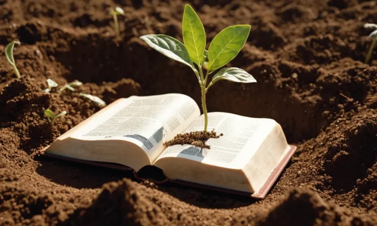 What Does Soil Represent In The Bible?
