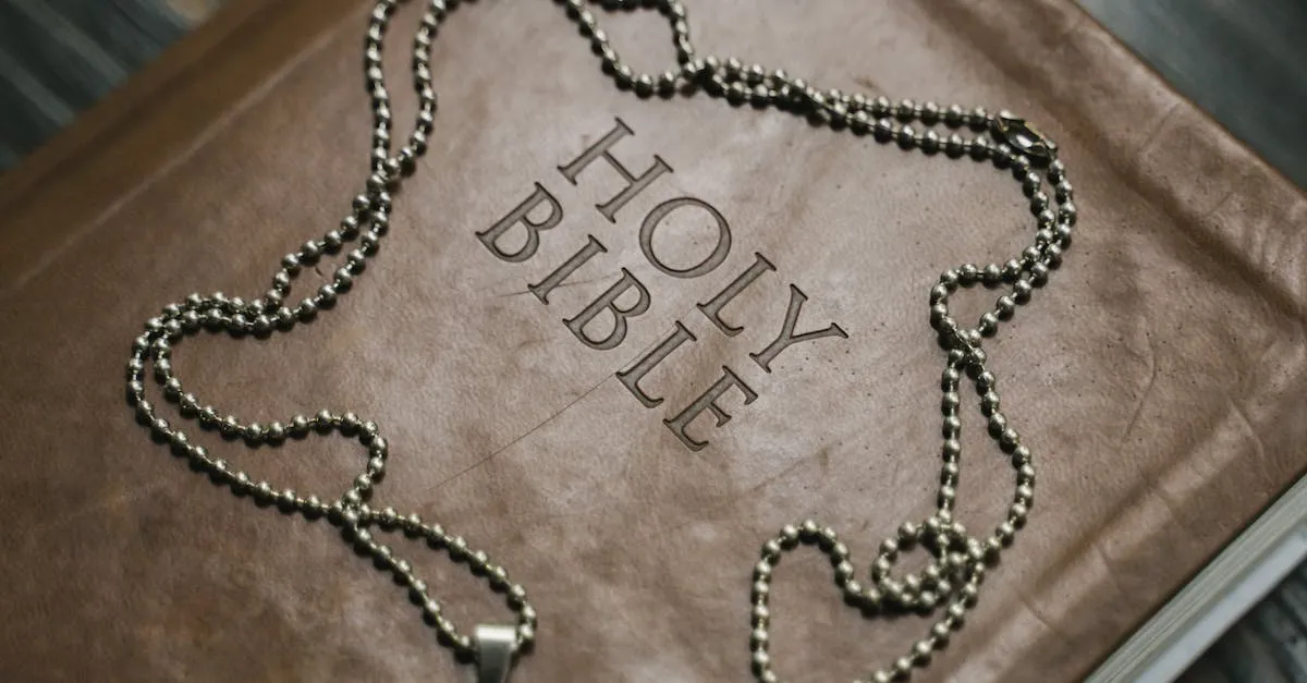 A photo showcasing hands gently holding a worn-out Bible, symbolizing empathy and compassion as the verses on its pages remind us of the importance of understanding and caring for one another.