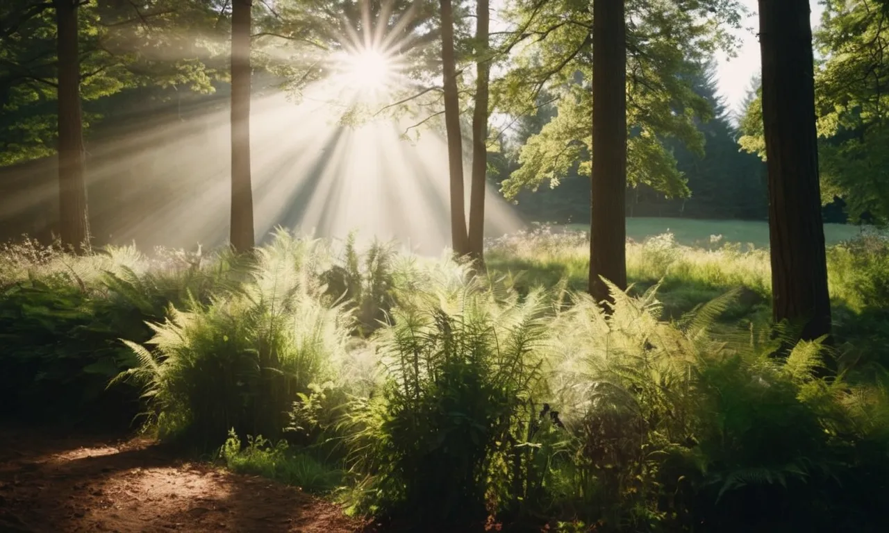 A photograph capturing a serene scene of a beautiful landscape with rays of sunlight filtering through the trees, symbolizing the peaceful presence of beloved pets in heaven as mentioned in the Bible.