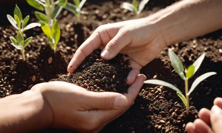 What Does The Bible Say About Sowing Seeds?