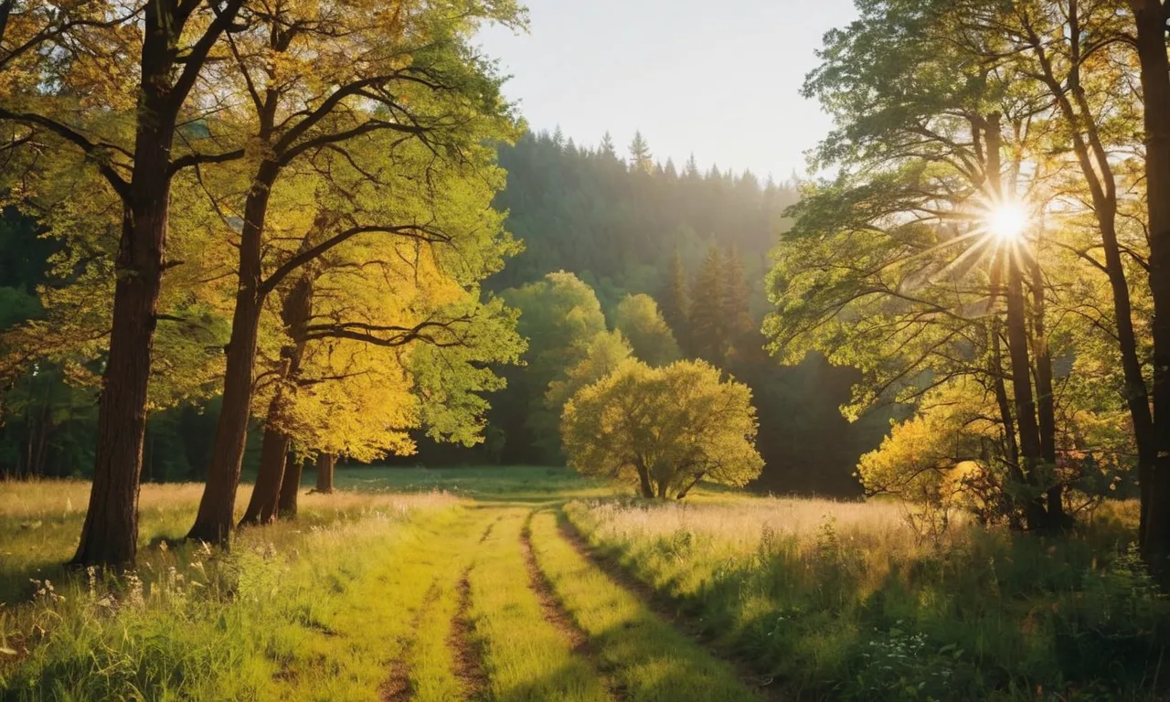 A dazzling burst of golden light pierces through a dense canopy of trees, illuminating a peaceful meadow below, as if the heavens themselves have opened up to reveal the glory of God.