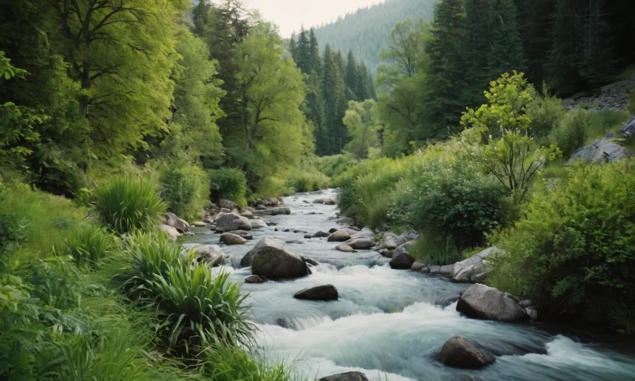 A photo of a serene river flowing through lush green landscapes, capturing the essence of "living water" mentioned in the Bible, symbolizing spiritual nourishment, cleansing, and eternal life.