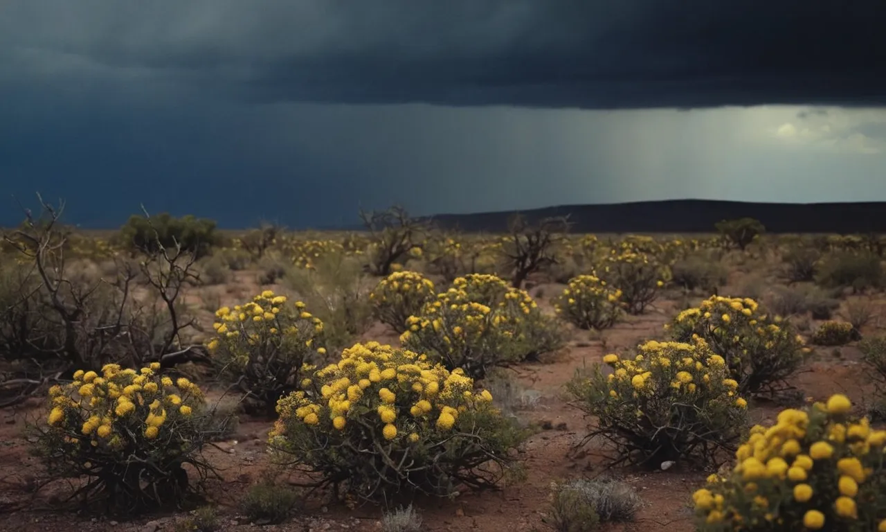A photograph capturing a desolate landscape, with wilted flowers, thorny bushes, and a dark, stormy sky, symbolizing the opposite of love in the Bible.