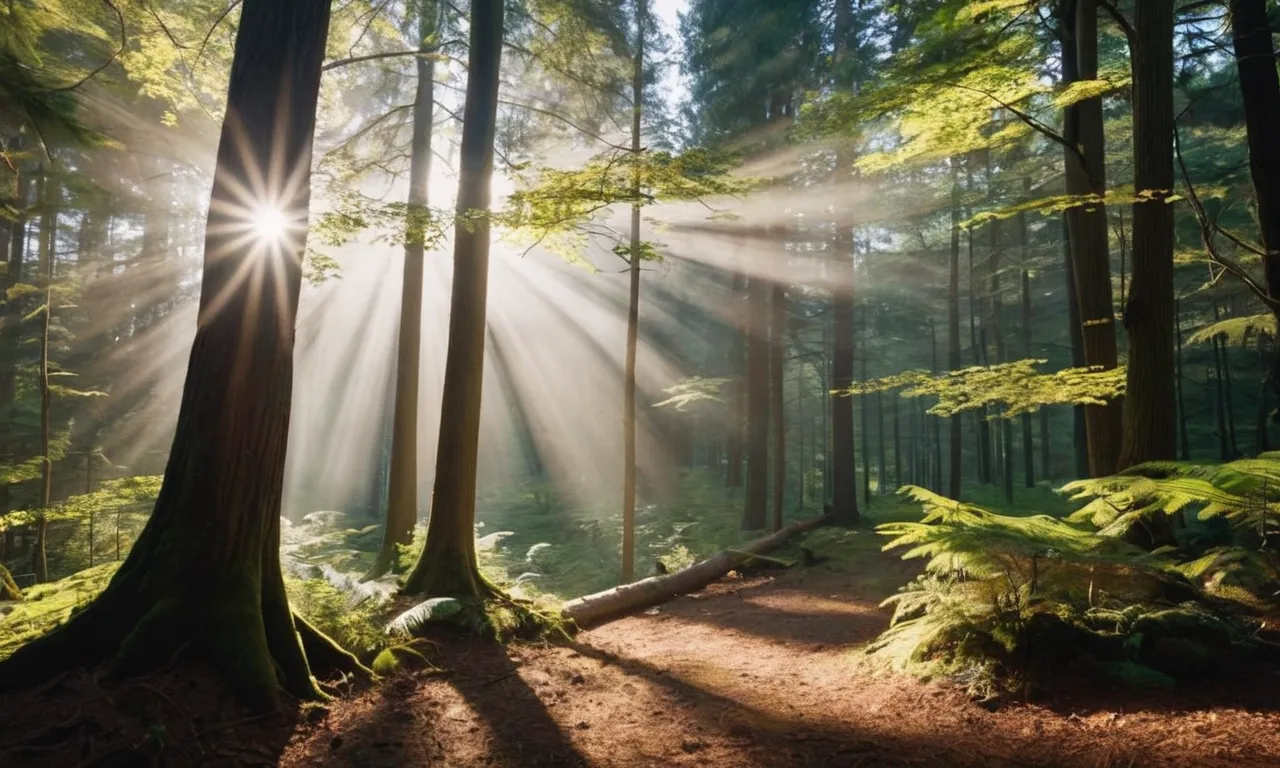A radiant beam of sunlight illuminates a serene forest, casting ethereal shadows and evoking a sense of divine presence, capturing the spirit of God in nature.