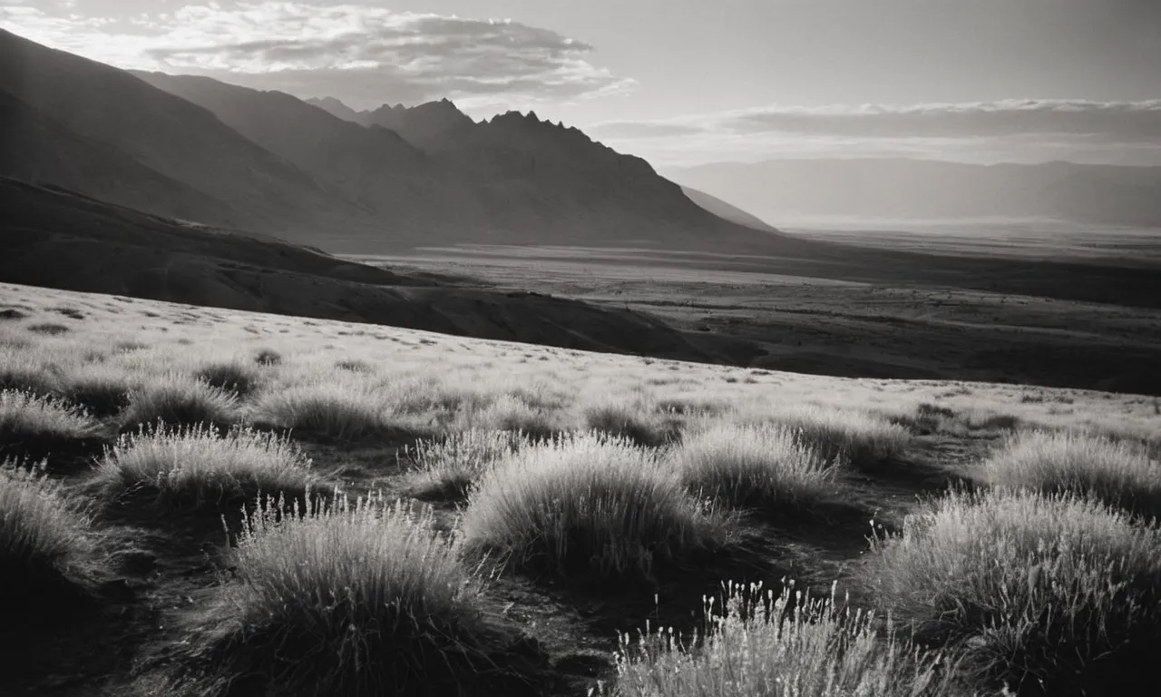 A captivating black and white image depicts a vast, untouched landscape, bathed in ethereal light, evoking a sense of divine presence and a time when the land was unspoiled and sacred.