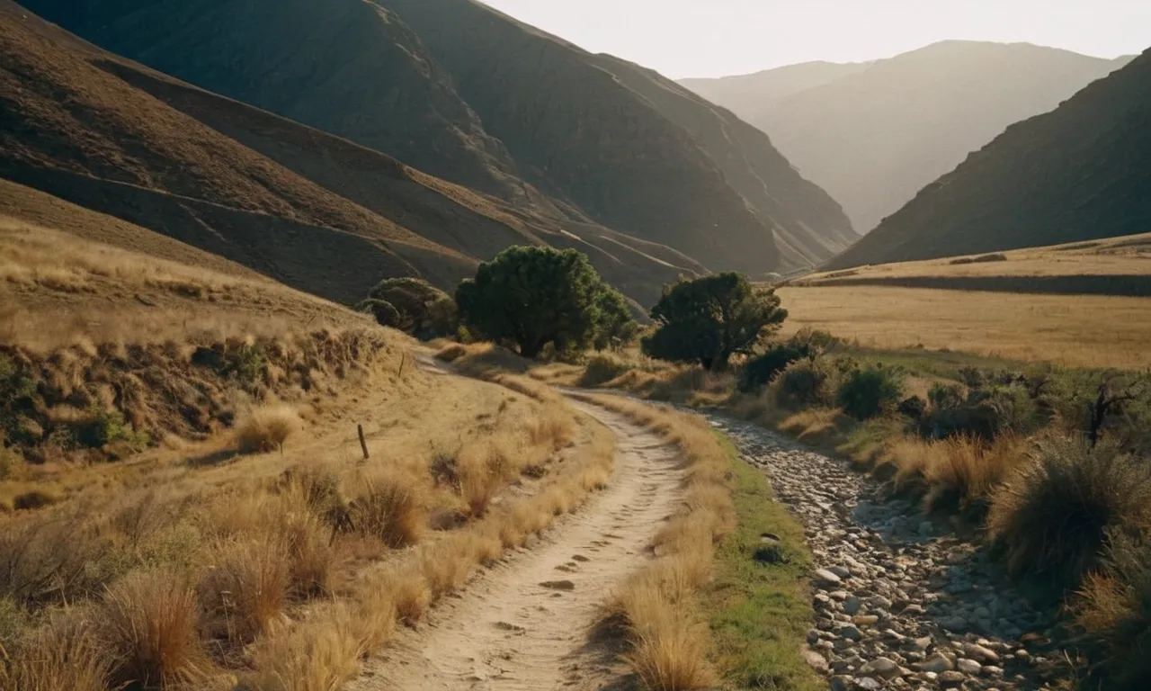 A serene landscape captures the essence of Orpah's journey as depicted in the Bible. The image showcases a path diverging into two, symbolizing her decision to part ways with Naomi.