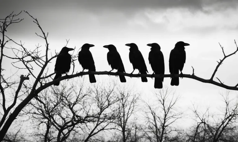 5 Crows Meaning: Unveiling The Symbolism Behind This Avian Encounter