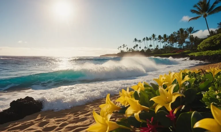 Aloha Kai Meaning: Exploring The Depths Of Hawaiian Culture