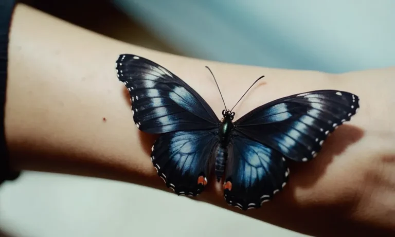Black Butterfly Tattoo Meaning: Unveiling The Symbolism Behind This Captivating Design