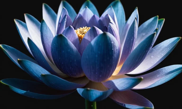 Black Lotus Meaning: Unveiling The Mystical Symbolism