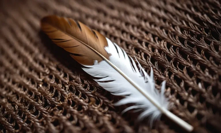 Brown And White Feather Meaning: Unraveling The Symbolism