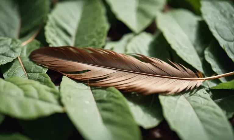 Brown Feather Meaning: Unraveling The Symbolism And Significance