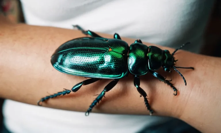 Bug Tattoo Meaning: Exploring The Symbolism And Significance