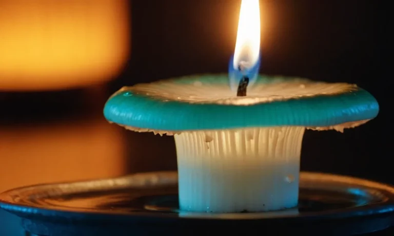 Candle Wick Mushroom Spiritual Meaning: Unveiling The Mystical Symbolism