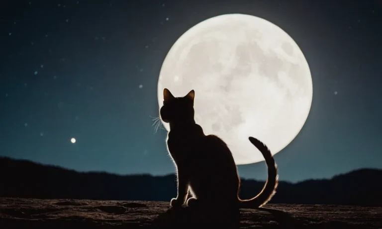 Unveiling The Profound Symbolism Of Cat And Moon Tattoos