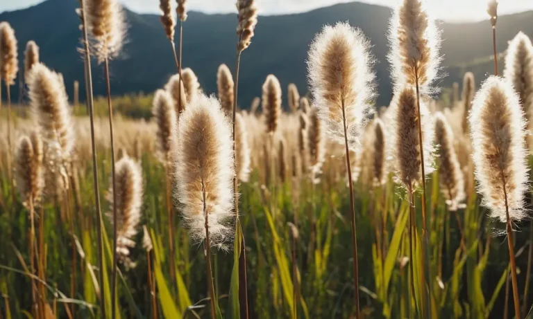 Cattail Tattoo Meaning: Exploring The Symbolism Behind This Unique Design