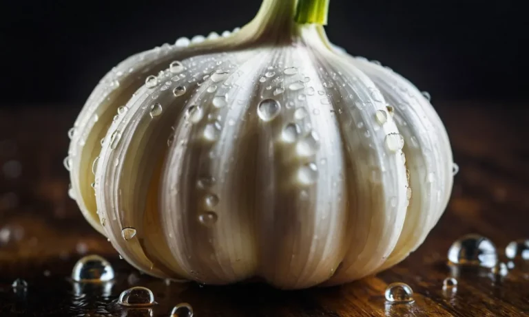 Craving Garlic Meaning: Unveiling The Secrets Behind This Peculiar Desire