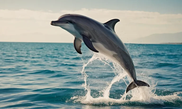 Dolphin Spirit Animal Meaning: Unlock The Profound Symbolism