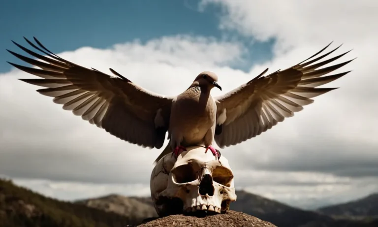 Unveiling The Profound Symbolism Of Dove And Skull Tattoos