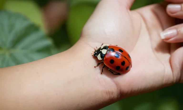 Feminine Ladybug Tattoo Meaning: A Comprehensive Guide