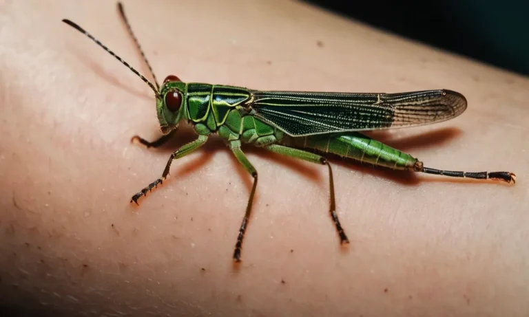 Grasshopper Tattoo Meaning: Exploring The Symbolism Behind This Unique Design