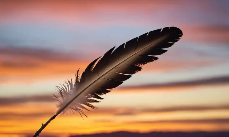 Hawk Feather Meaning: Unlocking The Symbolism And Significance