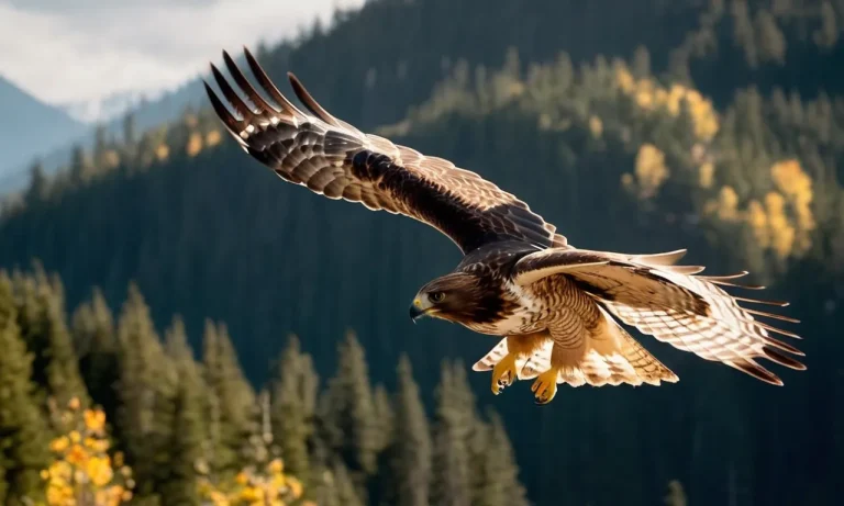 Hawk Totem Meaning: Unveiling The Profound Symbolism