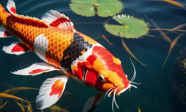 Koi Dragon Tattoo Meaning: Exploring The Symbolism And Cultural Significance