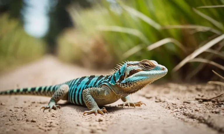 Lizard Crossing Path Meaning: Unveiling The Symbolism