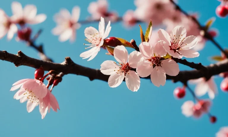 The Profound Meaning Of Cherry Blossom Tattoos: A Comprehensive Guide
