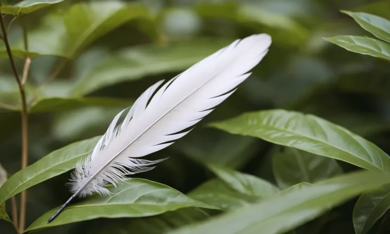Mockingbird Feather Meaning: Unlocking The Symbolism Behind This Avian Wonder
