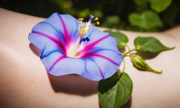 Morning Glory Flower Tattoo Meaning: A Comprehensive Guide