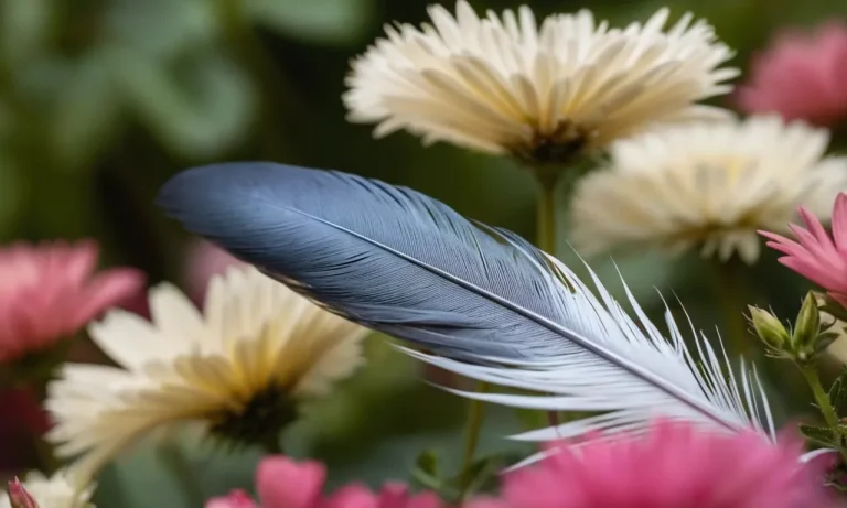 Pigeon Feather Meaning: Unraveling The Symbolism And Significance