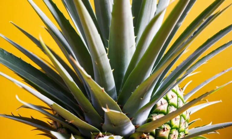 Pineapple Emoji Meaning: A Comprehensive Guide
