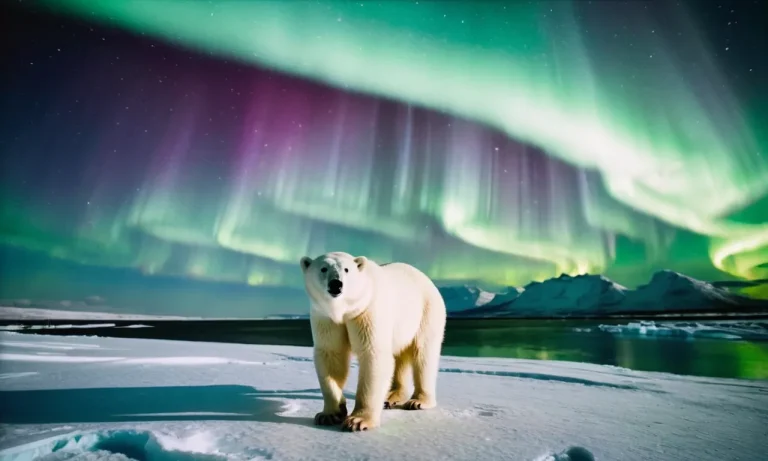 Polar Bear Spiritual Meaning: Unlocking The Mystical Symbolism