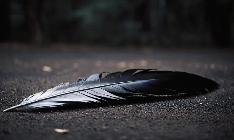 Raven Feathers Meaning: Unlocking The Symbolism And Significance