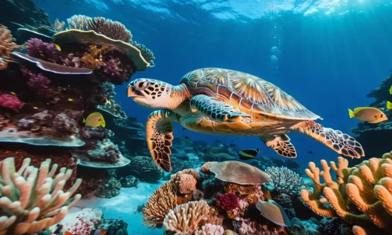 The Profound Symbolism Of Sea Turtles: Exploring Their Meaning And Significance