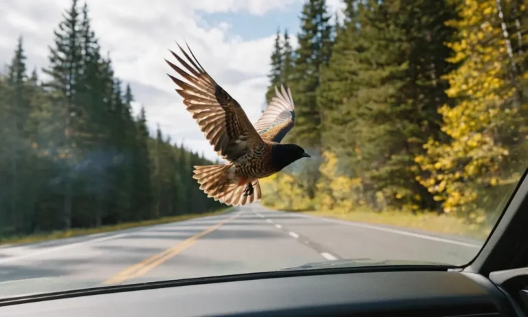 Spiritual Meaning Of A Bird Flying Inside Your Car: An In-Depth Exploration