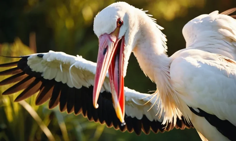 Spiritual Meaning Of A Stork Bite: Unveiling The Mystical Symbolism