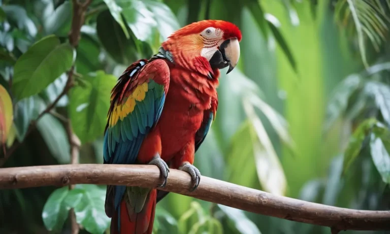 Spiritual Meaning Of Parrots: Unveiling The Mystical Symbolism