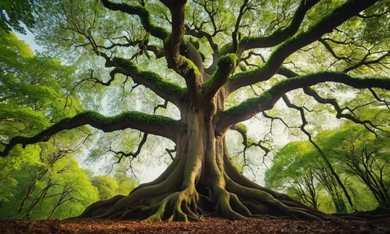 The Tree Of Life: Exploring The Profound Symbolism And Meaning