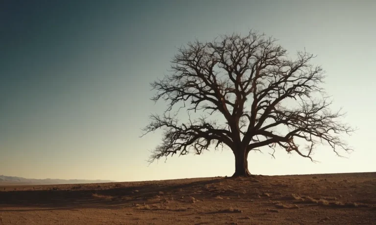 The Profound Symbolism Of Trees: Exploring Their Meaning Across Cultures