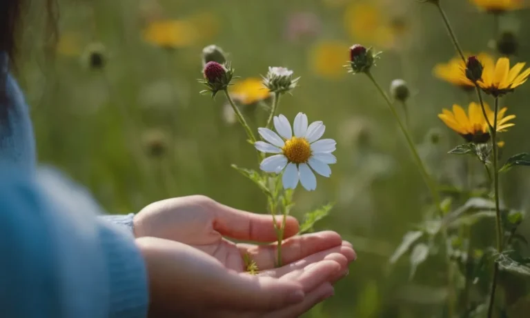 Wildflower Meaning: Unveiling The Symbolism Of A Free-Spirited Soul