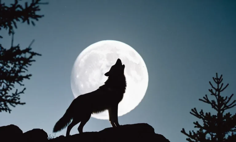 Wolf And Moon Tattoo Meaning: Unveiling The Symbolism Behind This Captivating Design